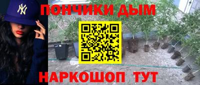 Альфа ПВП Пушкино