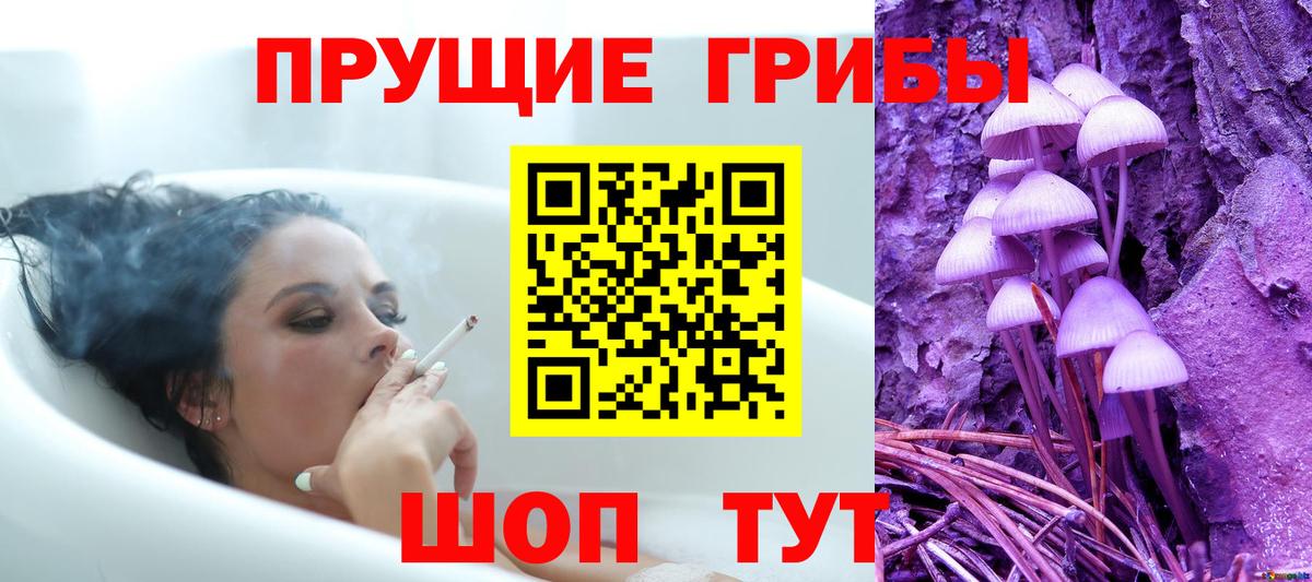 Псилоцибиновые грибы Psilocybine cubensis  Вход с VPN  Пенза  Галлюциногенные грибы MAGIC MUSHROOMS 